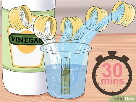 03D0Af3E58F04524A49Aa541A9Faac9C