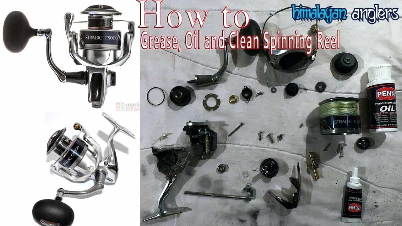 How To Clean A Shimano Stradic Spinning Reel? | Cleanestor