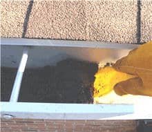 59C2E9E319C04502Aef29E3D5Db5Bd94