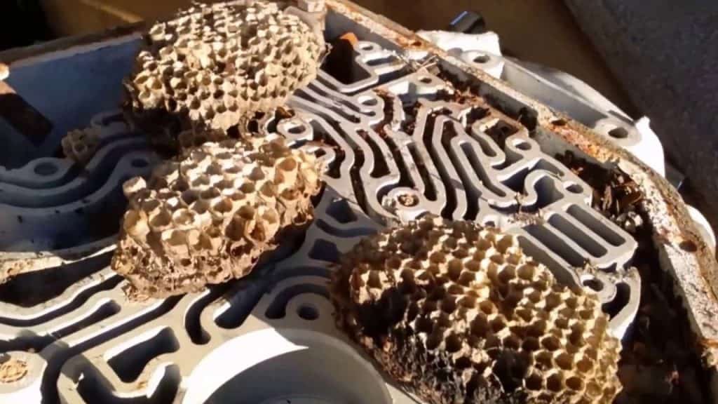 7A0311Af881A4A6E89D1E7275C82F5B8 7A0311Af881A4A6E89D1E7275C82F5B8