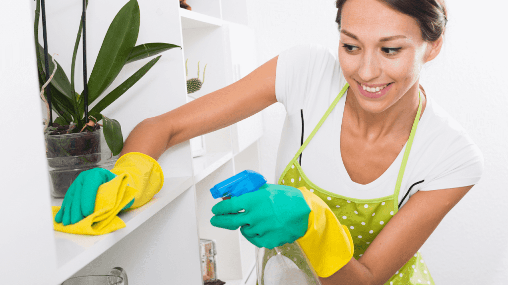 Why Cleaning Your Home Is Important