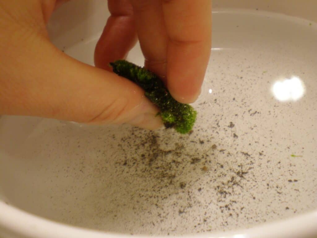 C65Bfd141198494Ba1Fdae97D90673A6