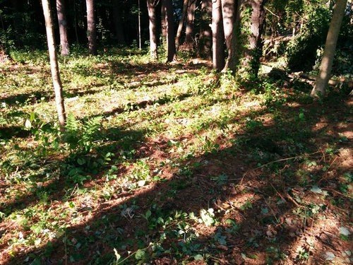 20901B5D98F642Fabd7D7F565E7560Ab