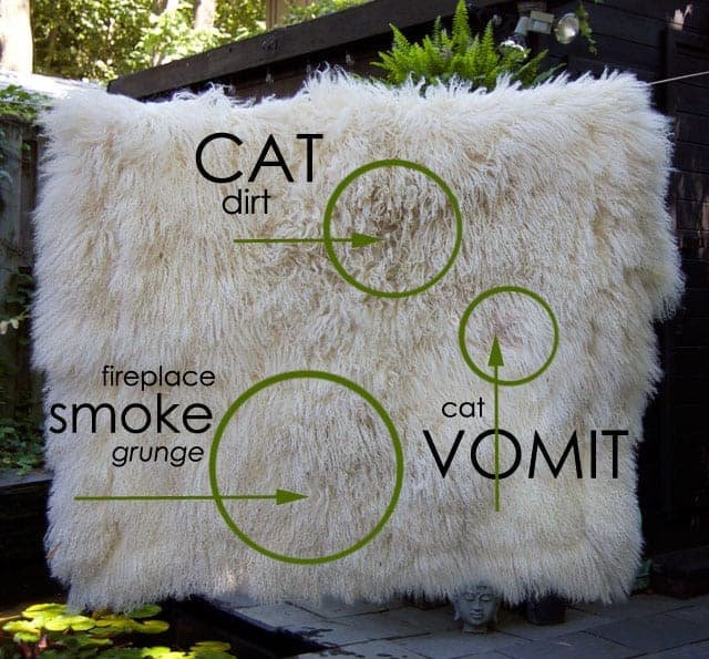 53Cad157546D48F8A27Df3Edad649Dac