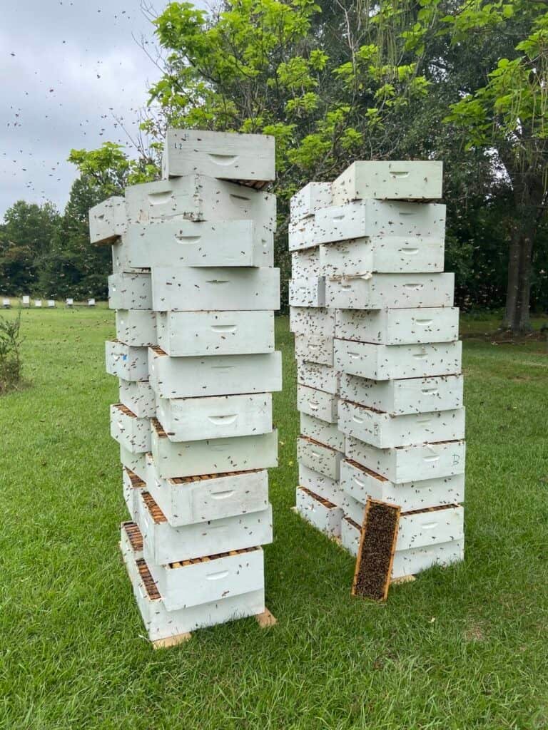 63Ff31B8374B4F44844322B9D63De581