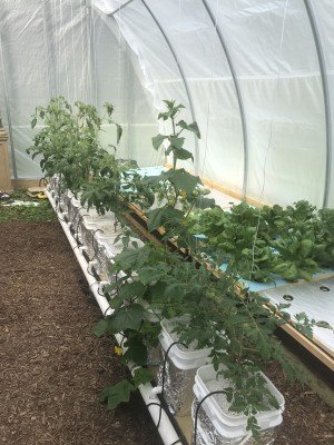 8Bfc82Ff7E8F4A51Bc7793D747E57F47 8Bfc82Ff7E8F4A51Bc7793D747E57F47