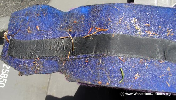 8D6E85B6A9894E19A36A2Ed742Eef7Cb 8D6E85B6A9894E19A36A2Ed742Eef7Cb