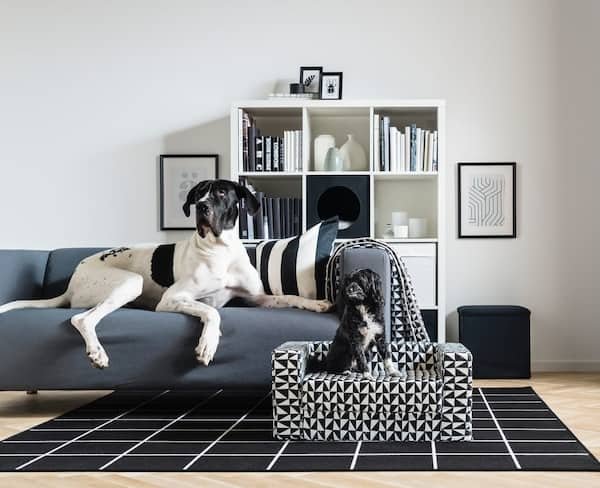 C586F02E078243238349Fd9015764F34 C586F02E078243238349Fd9015764F34