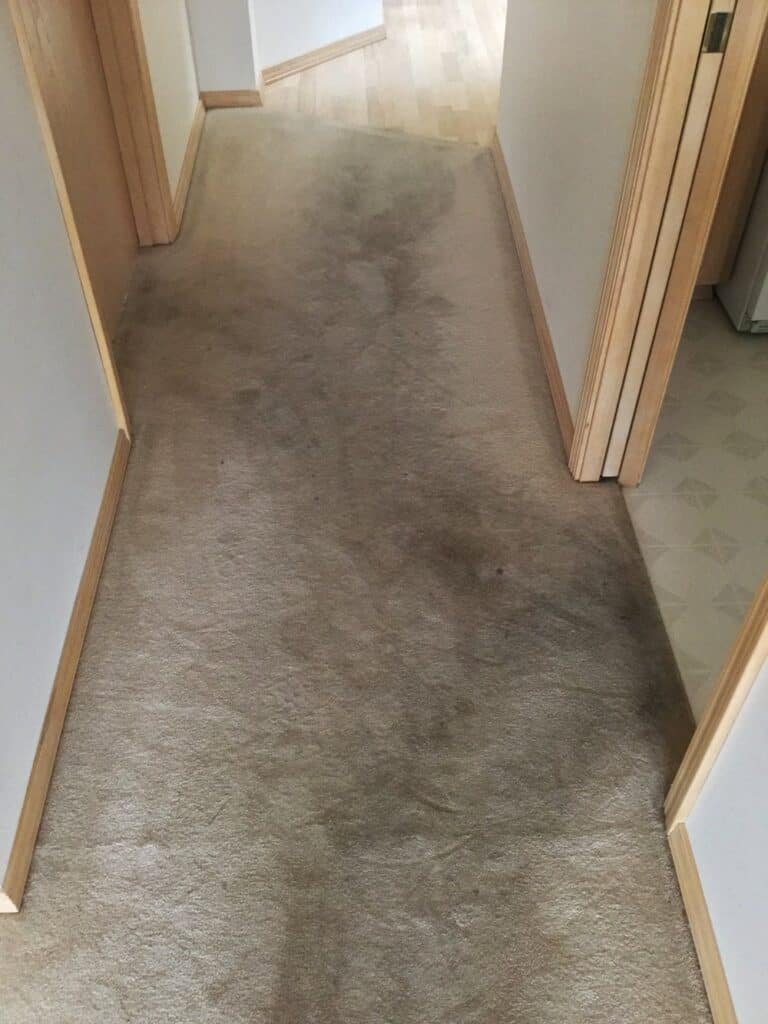 C7Ce5046Fef24D2C9A3D83Cefac7F10C