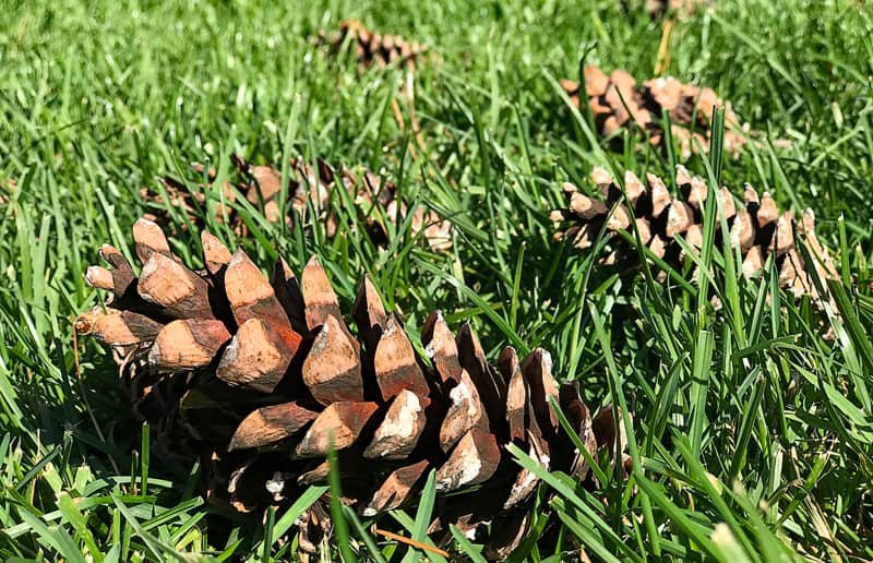 Ccea0024280845F89479Ef3Fc9A853B3