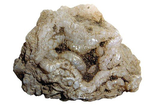 E0E1Aa5A1D1D400390F5B9880C896E89 E0E1Aa5A1D1D400390F5B9880C896E89