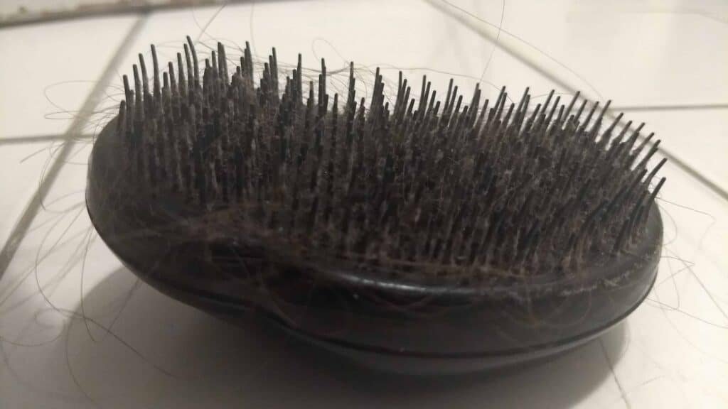 E73381B6A3874Ccdb0B35Dd812479843