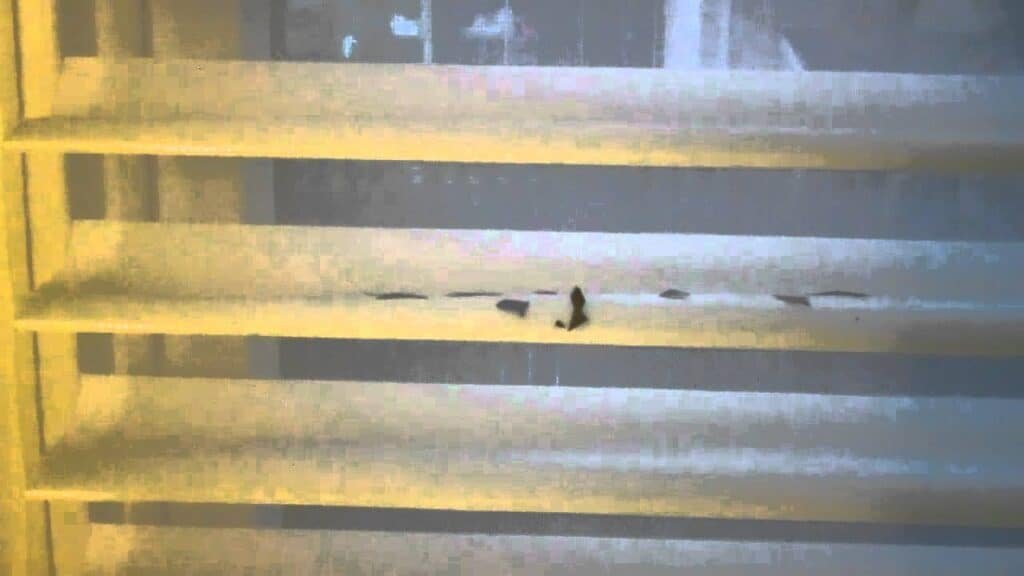 Ebbcbf4B59614A47Aa2E3B62A8447Ae1