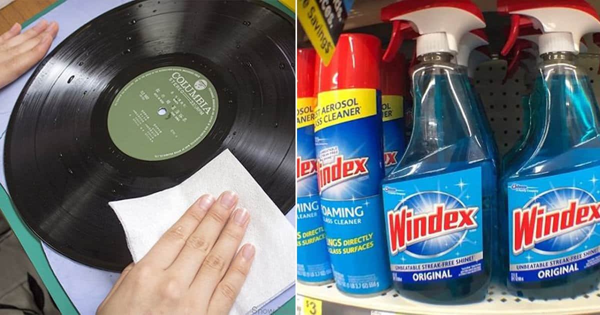 How To Clean Vinyl Records With Windex? Cleanestor
