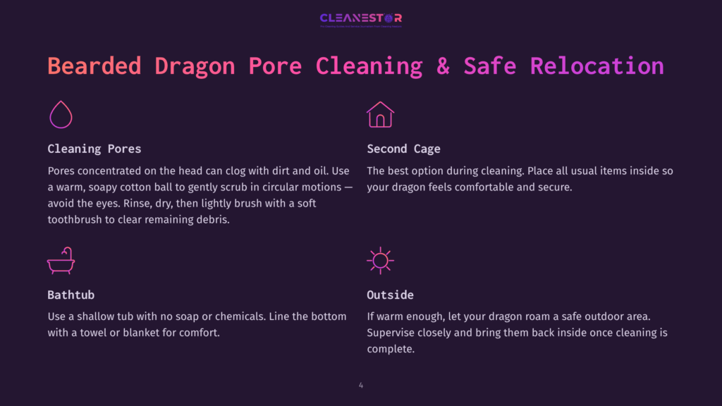 Bearded Dragon Pore Cleaning &Amp; Safe Relocation Guide With Icons For Cleaning Pores, Second Cage, Bathtub, And Outdoor Area.