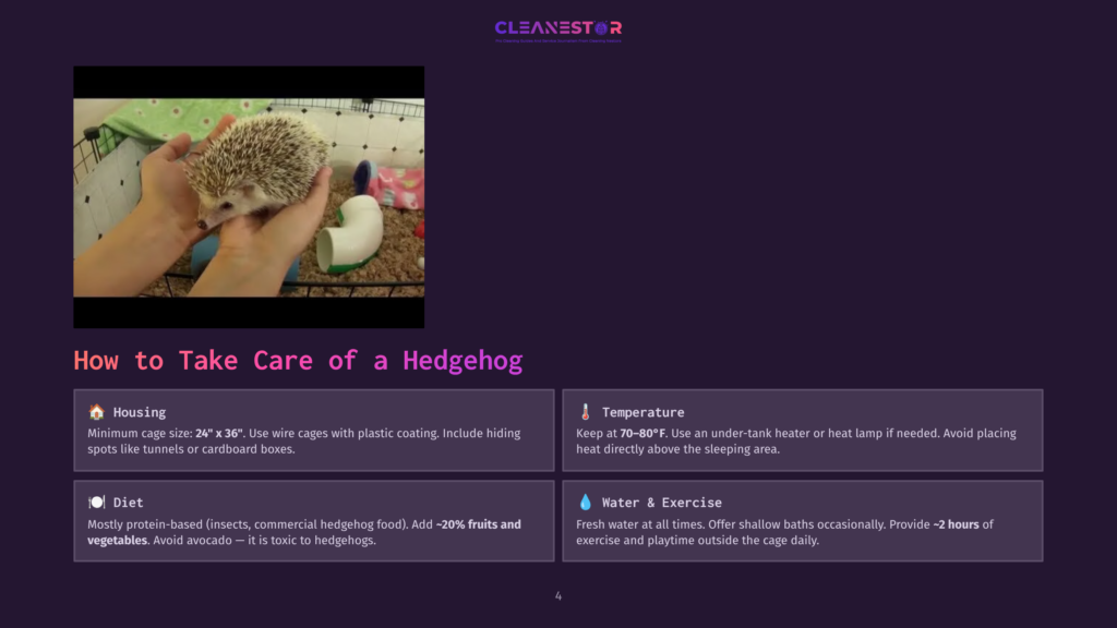 Close-Up Of A Person'S Hands Gently Holding A Small, Spiny Hedgehog In A White Wire Cage. A White And Blue Chew Toy Is Visible In The Background.