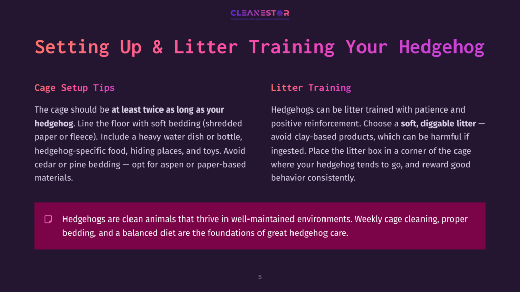 The Text &Quot;Setting Up &Amp; Litter Training Your Hedgehog&Quot; Is Displayed Prominently In Large, Bold, Magenta Font Over A Dark Purple Background. Below The Title, The Text Is Divided Into Two Columns: &Quot;Cage Setup Tips&Quot; On The Left And &Quot;Litter Training&Quot; On The Right, With Bullet Points Detailing Advice For Hedgehog Care.