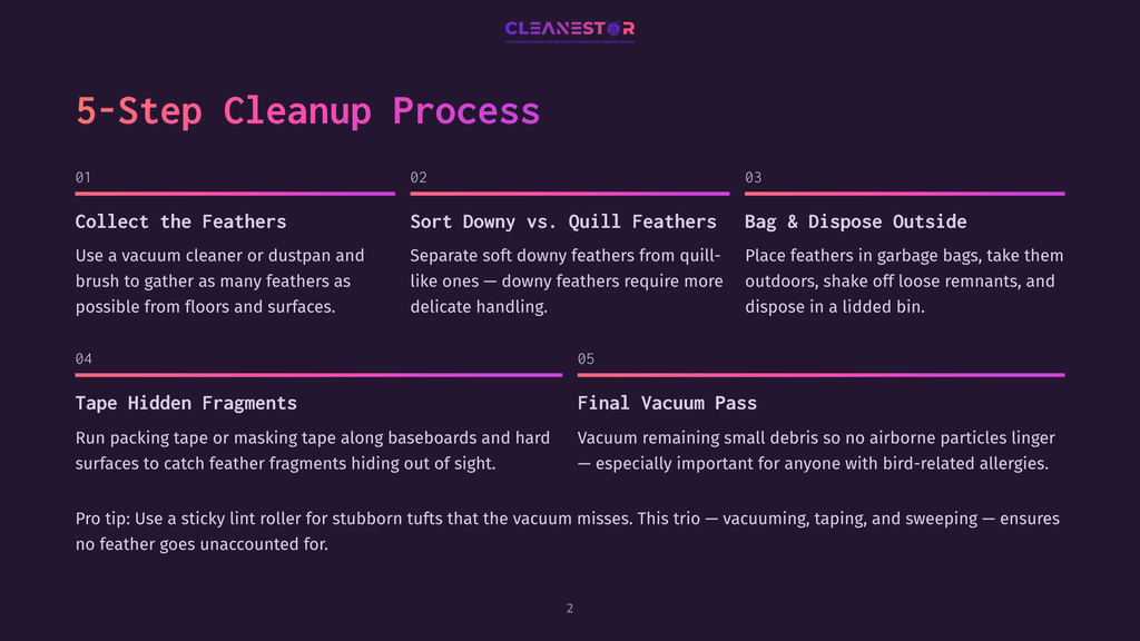 A 5-Step Cleanup Process Graphic With Text Detailing Feather Removal: Collect Feathers, Sort Downy Vs. Quill Feathers, Bag &Amp; Dispose Outside, Tape Hidden Fragments, And Final Vacuum Pass.
