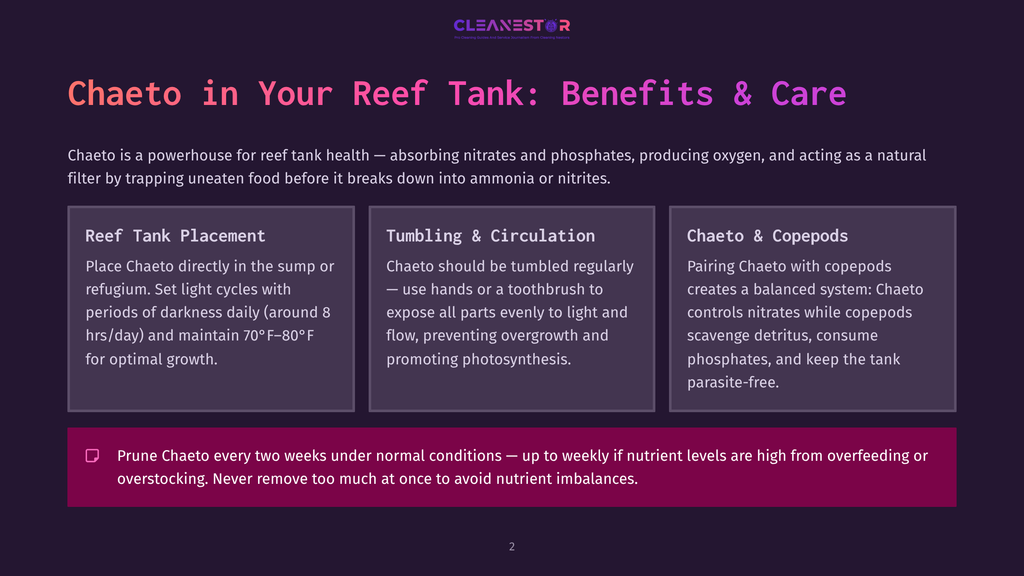 Chaeto In Your Reef Tank: Benefits &Amp; Care. Sections Cover Reef Tank Placement, Tumbling &Amp; Circulation, And Chaeto &Amp; Copepods. Tips Include Pruning Chaeto Every Two Weeks.