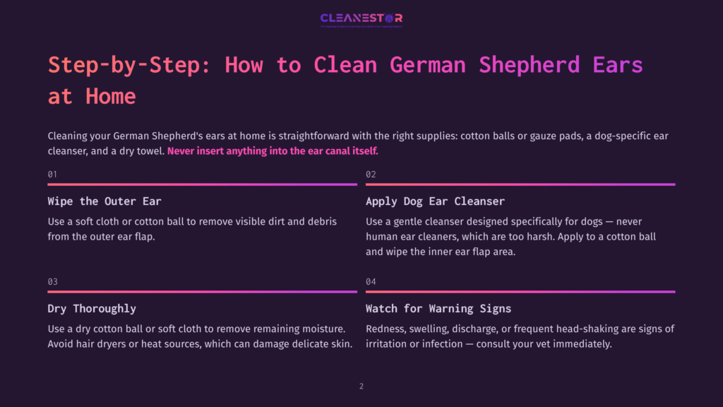 Infographic Titled &Quot;Step-By-Step: How To Clean German Shepherd Ears At Home&Quot; Showing Four Steps: Wipe The Outer Ear, Apply Dog Ear Cleaner, Dry Thoroughly, And Watch For Warning Signs, With Illustrations And Text.