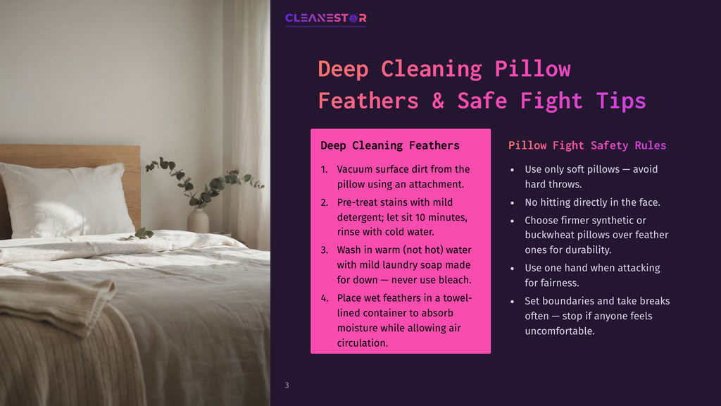 Cleanestor Blog Post Page 3. Deep Cleaning Pillow Feathers &Amp; Safe Fight Tips. Instructions For Cleaning Pillows And Safe Play Tips For Pillows.