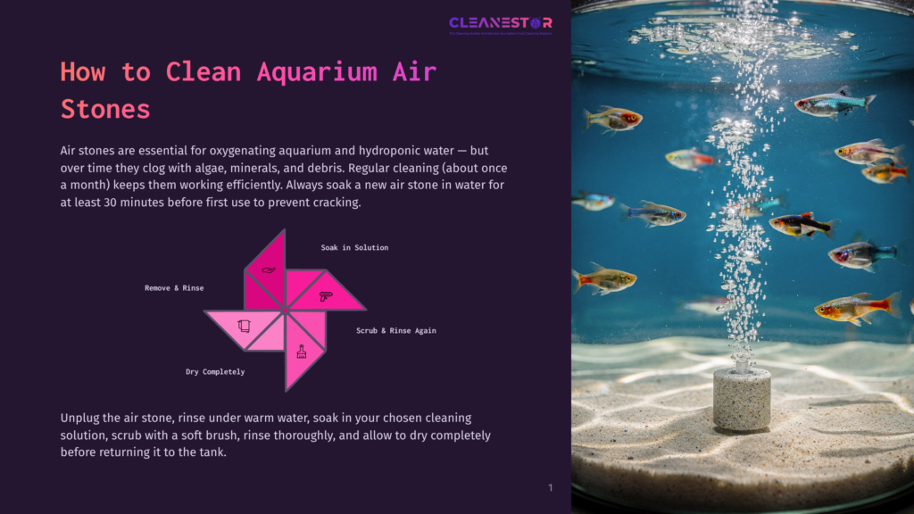 Diagram Showing How To Clean Aquarium Air Stones: Soak In Solution, Scrub And Rinse Again, Dry Completely, Remove &Amp; Rinse, And Soak In Water. Text Includes &Quot;How To Clean Aquarium Air Stones&Quot; And &Quot;Cleanestor&Quot;.
