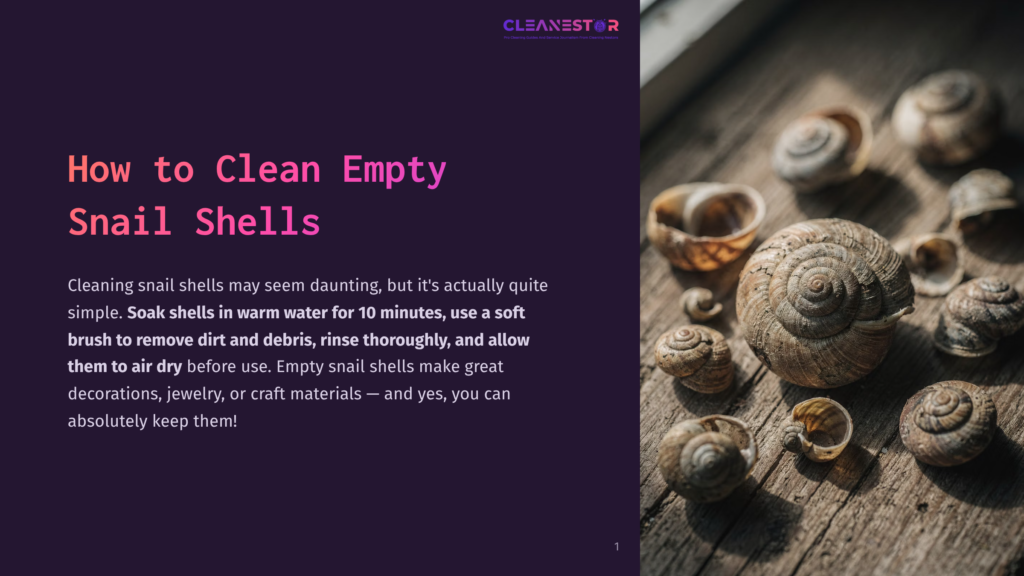 A Collection Of Empty Snail Shells Of Various Sizes Arranged On A Rustic Wooden Surface. Some Shells Are Tightly Coiled, While Others Are More Open, Showcasing Their Natural Textures And Earthy Tones.