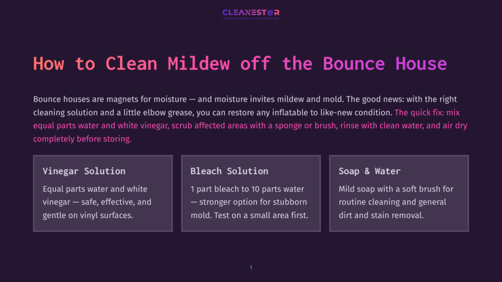 Infographic Titled &Quot;How To Clean Mildew Off The Bounce House&Quot;, Offering Three Cleaning Solutions: Vinegar Solution, Bleach Solution, And Soap &Amp; Water, With Detailed Instructions.