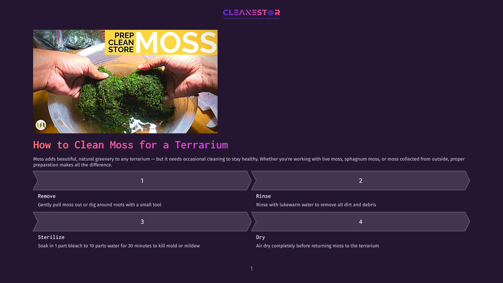 Hands Gently Clean A Large Clump Of Vibrant Green Moss In A Clear Bowl, With &Quot;Prep Clean Store Moss&Quot; Text Overlay. This Image Illustrates Cleaning Moss For A Terrarium.