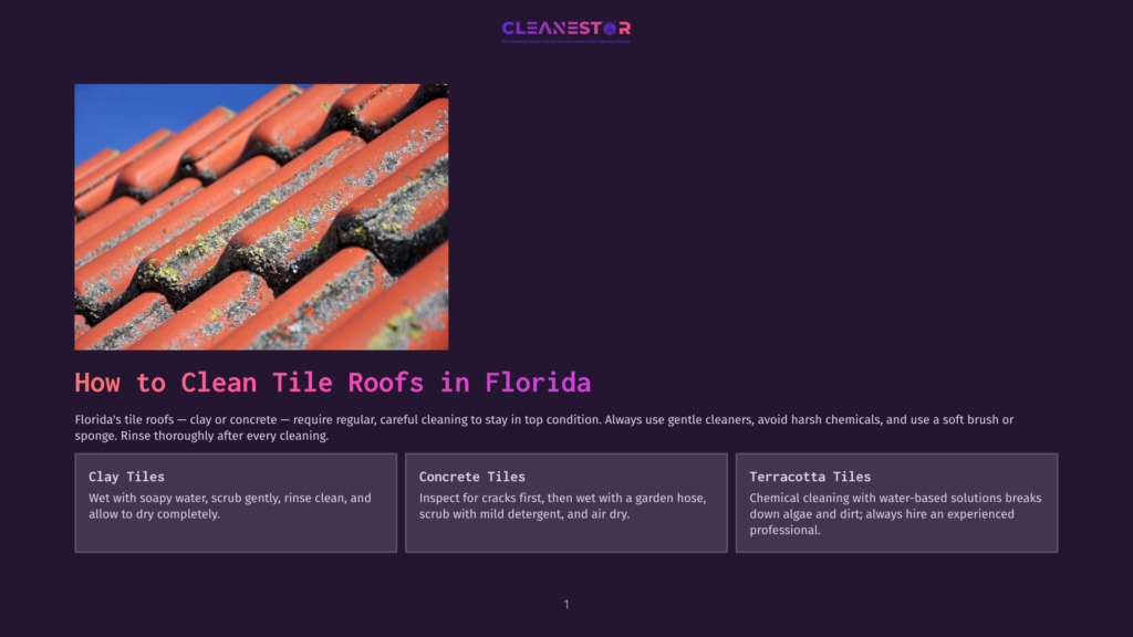 Close-Up Of Weathered, Orange Terracotta Roof Tiles In Florida, Showing Signs Of Moss And Lichen Growth. The Image Highlights The Need For Cleaning These Types Of Roofs.