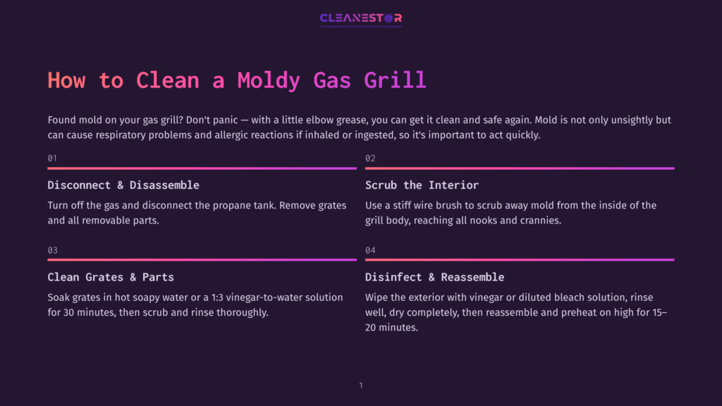 Infographic Titled &Quot;How To Clean A Moldy Gas Grill&Quot; Outlining Steps: Disconnect &Amp; Disassemble, Scrub The Interior, Clean Grates &Amp; Parts, And Disinfect &Amp; Reassemble. Features Purple And Pink Gradient Accents.