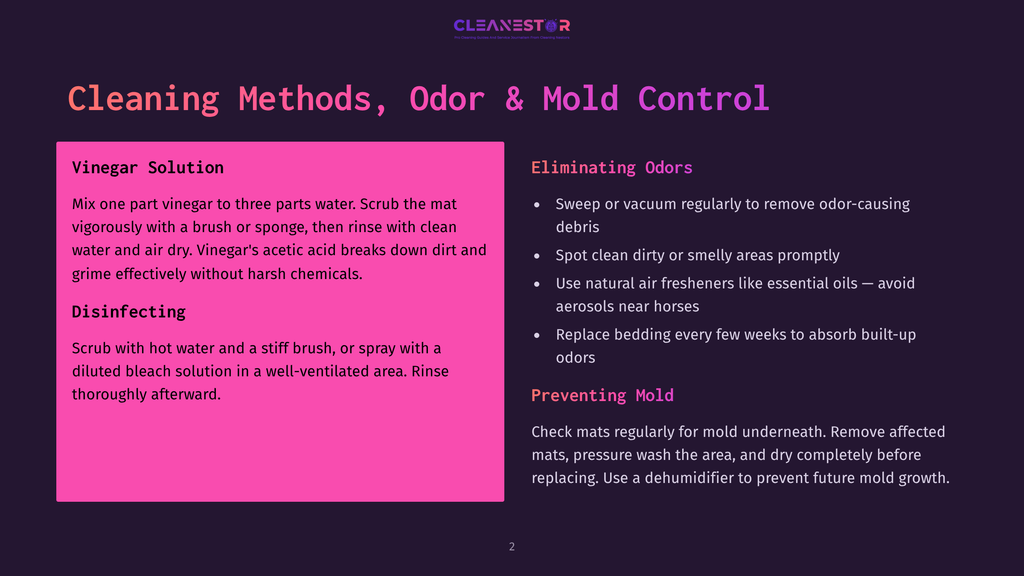2 Cleaning Methods Odor And Mold Control A Dark Purple Slide Titled &Quot;Cleaning Methods, Odor &Amp; Mold Control&Quot; With Sections On &Quot;Vinegar Solution,&Quot; &Quot;Disinfecting,&Quot; &Quot;Eliminating Odors,&Quot; And &Quot;Preventing Mold.