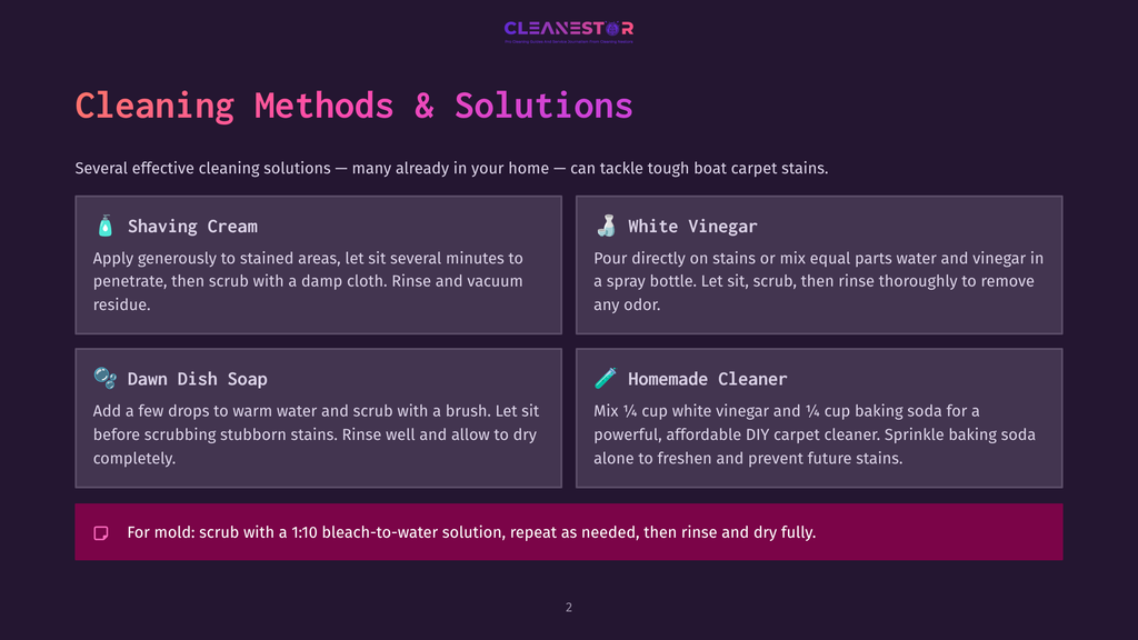 Infographic Detailing Boat Carpet Cleaning Methods: Shaving Cream, White Vinegar, Dawn Dish Soap, And Homemade Cleaner. Includes A Tip For Mold Removal With A Bleach Solution.