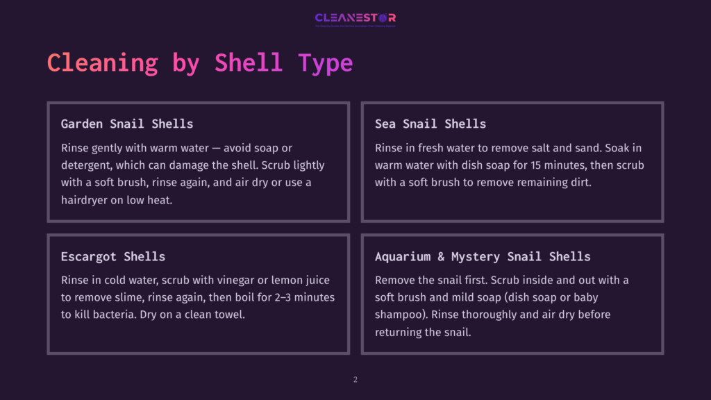 Infographic Titled &Quot;Cleaning By Shell Type&Quot; With Four Sections: Garden Snail Shells, Sea Snail Shells, Escargot Shells, And Aquarium &Amp; Mystery Snail Shells, Detailing Cleaning Methods For Each.