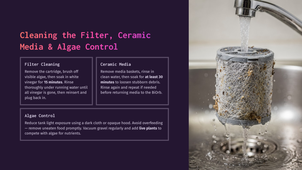 A Dirty Aquarium Filter Cartridge Is Rinsed Under A Running Faucet In A Kitchen Sink, With Text Overlay Describing Filter Cleaning, Ceramic Media, And Algae Control.