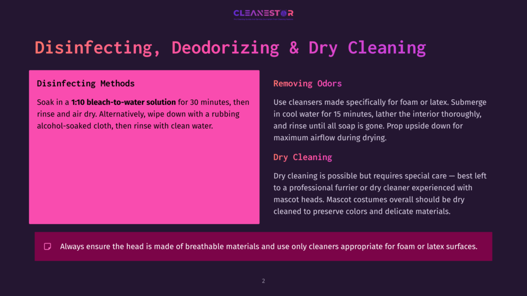 2 Disinfecting Deodorizing And Dry Cleaning A Dark Background With A Large Pink Rectangle On The Left Containing Text About Disinfecting Methods, And A Dark Purple Rectangle On The Right With Text About Removing Odors And Dry Cleaning. The Top Of The Image Has A &Quot;Cleanestor&Quot; Logo.