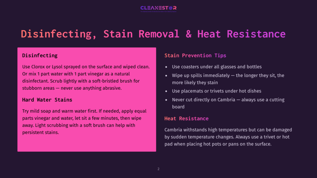 A Dark Purple Background With Pink Text Boxes. The Left Box Is Titled &Quot;Disinfecting&Quot; And &Quot;Hard Water Stains,&Quot; Offering Cleaning Tips. The Right Box Is Titled &Quot;Stain Prevention Tips&Quot; And &Quot;Heat Resistance,&Quot; Providing Advice On Protecting Surfaces.