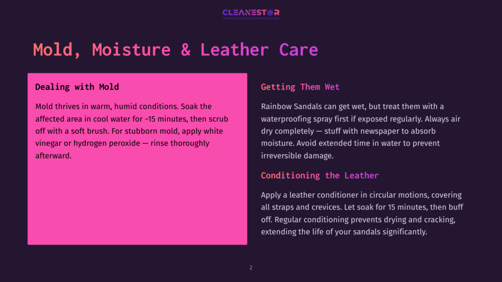 2 Mold Moisture And Leather Care Dark Background With Text &Quot;Mold, Moisture &Amp; Leather Care&Quot; In Large White And Pink Font. Sections Detail &Quot;Dealing With Mold&Quot; And &Quot;Getting Them Wet&Quot; With Cleaning Instructions.