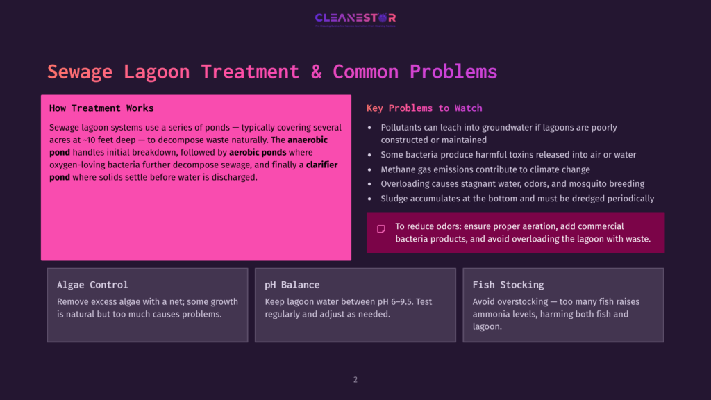 Cleanestor Sewage Lagoon Treatment Slide: &Quot;Sewage Lagoon Treatment &Amp; Common Problems&Quot; With Sections On &Quot;How Treatment Works,&Quot; &Quot;Key Problems To Watch,&Quot; &Quot;Algae Control,&Quot; &Quot;Ph Balance,&Quot; And &Quot;Fish Stocking.