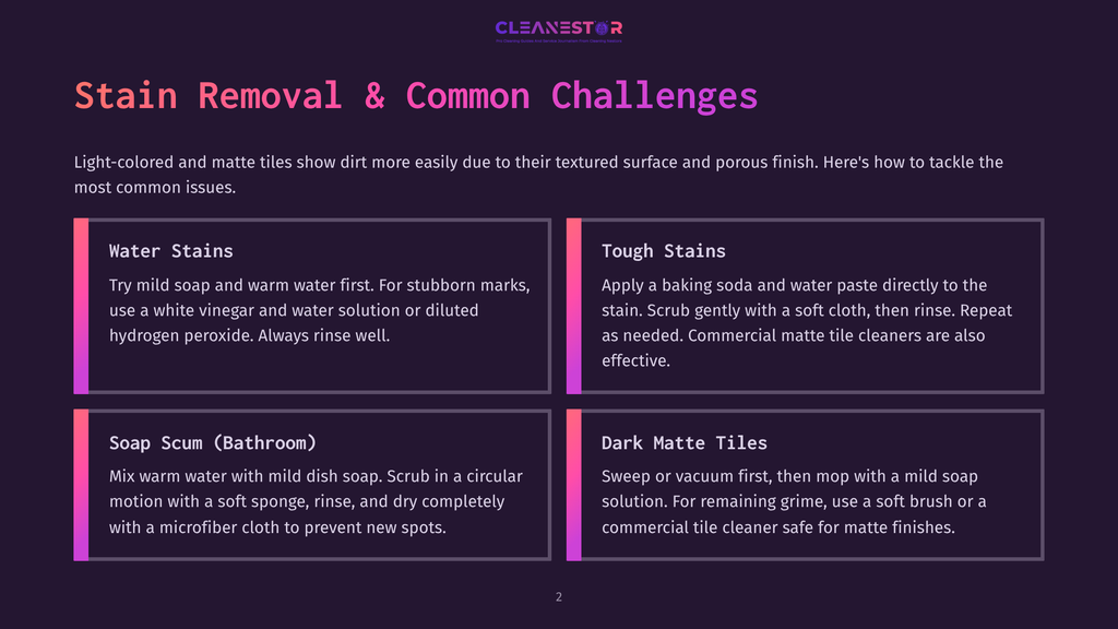 Cleanestor Logo With Text &Quot;Stain Removal &Amp; Common Challenges&Quot; And Sections On Water Stains, Tough Stains, Soap Scum, And Dark Matte Tiles.