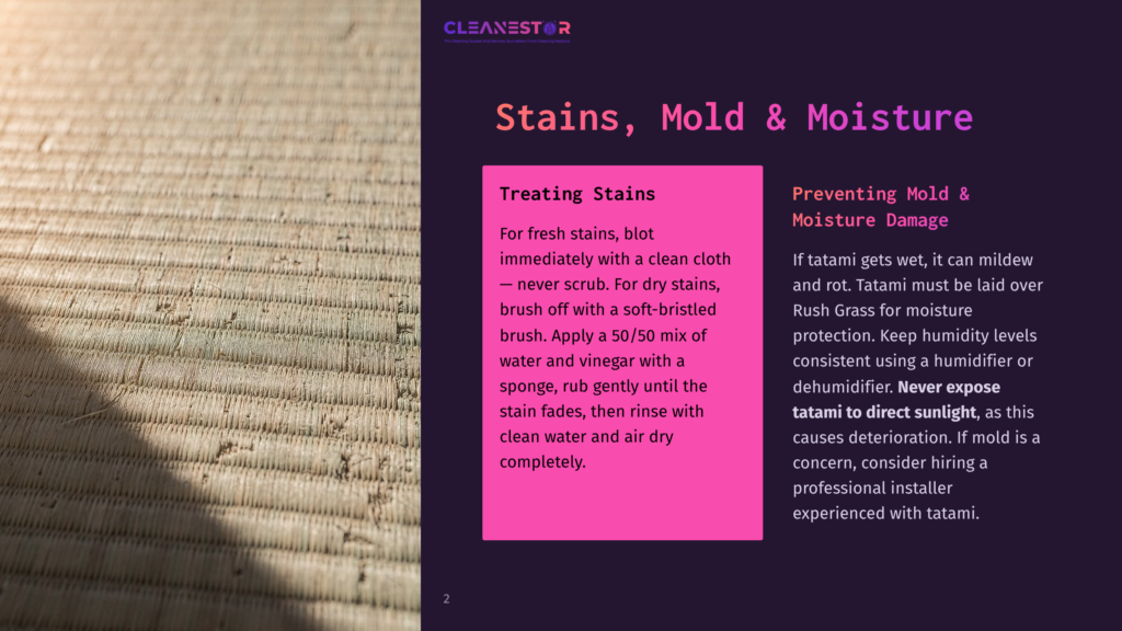 Close-Up Of A Tatami Mat With A Textured, Woven Surface, Bathed In Soft, Warm Sunlight. Text Overlay Reads &Quot;Cleanestor&Quot; And &Quot;Stains, Mold &Amp; Moisture&Quot;.