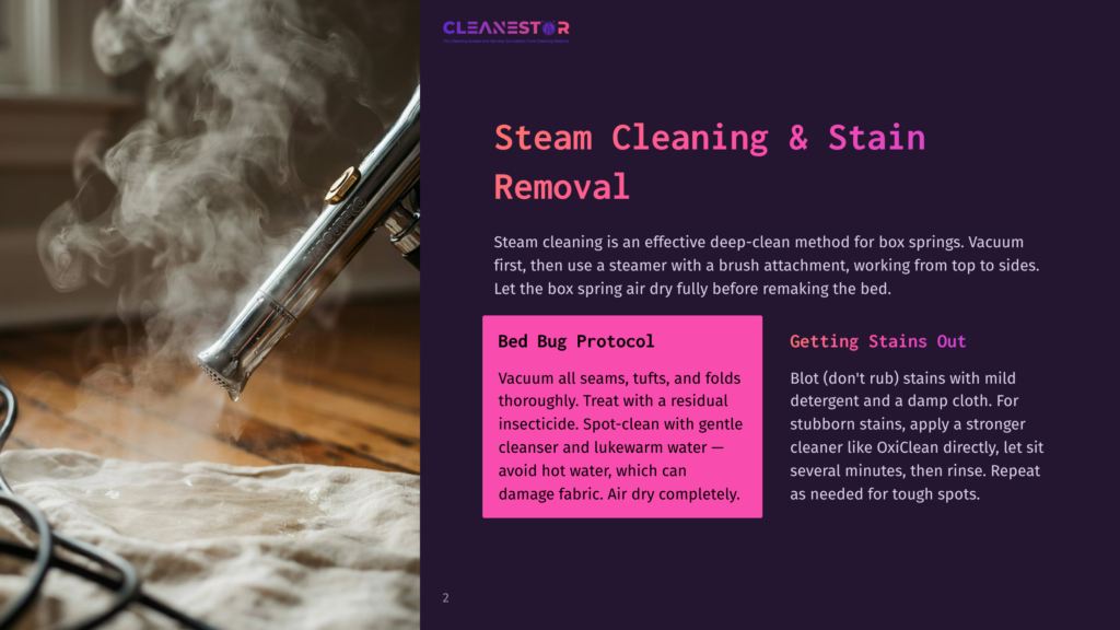 Close-Up Of A Steam Cleaner Nozzle Spraying Steam Onto A White Fabric, With The &Quot;Cleanestor Steam Cleaning &Amp; Stain Removal&Quot; Logo Visible In The Background.