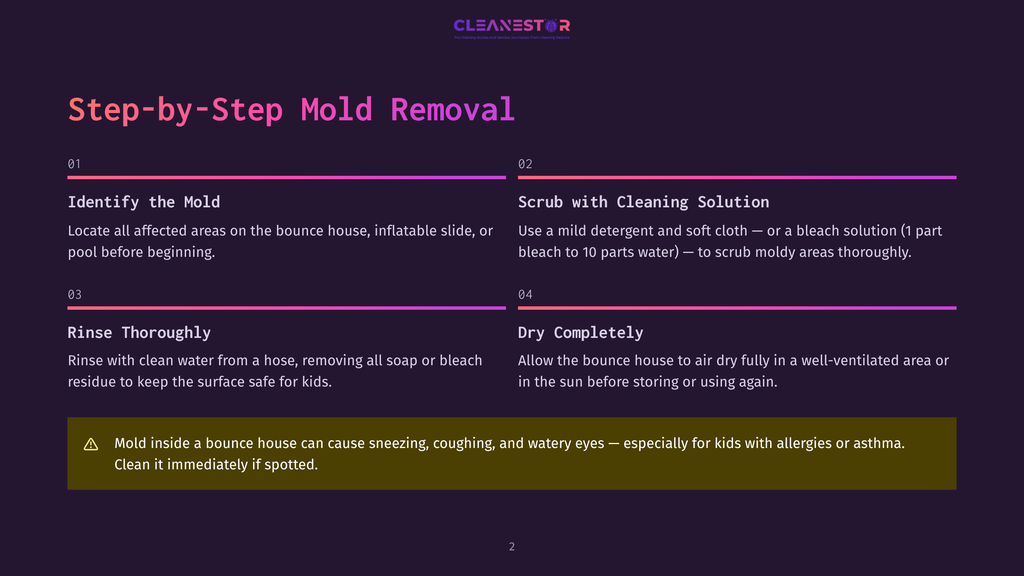 Step-By-Step Mold Removal Guide For Bounce Houses, Detailing Identification, Cleaning, Rinsing, And Drying Processes. Includes Safety Warning About Mold Exposure.