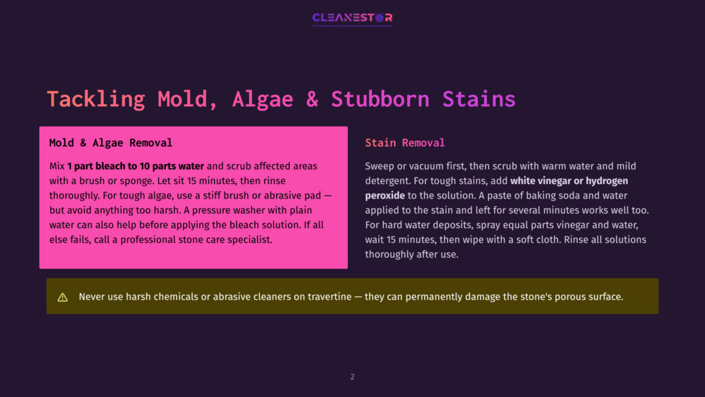 Text On A Dark Background With Purple And Yellow Accents: &Quot;Tackling Mold, Algae &Amp; Stubborn Stains&Quot; With Sections For &Quot;Mold &Amp; Algae Removal&Quot; And &Quot;Stain Removal&Quot; Detailing Cleaning Methods And Warnings.