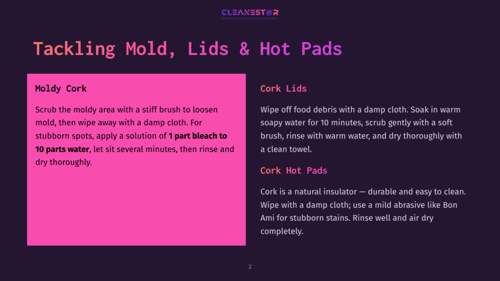 Slide Titled &Quot;Tackling Mold, Lids &Amp; Hot Pads&Quot; With Instructions On Cleaning Moldy Cork And Cork Lids, Featuring Pink And Purple Text And Graphics.