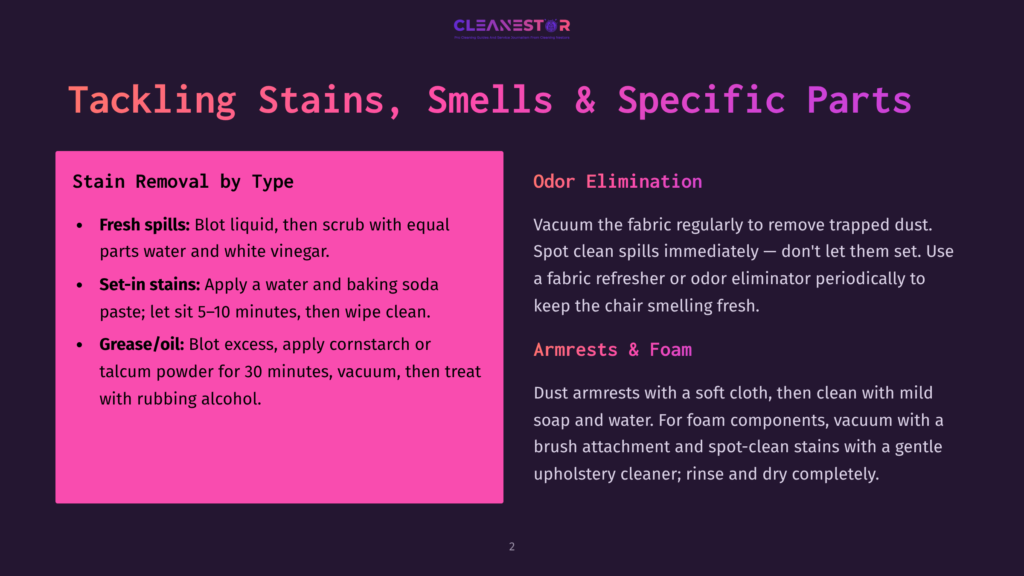 Purple Slide Titled &Quot;Tackling Stains, Smells &Amp; Specific Parts&Quot; With Sections On &Quot;Stain Removal By Type&Quot; And &Quot;Odor Elimination,&Quot; Offering Cleaning Tips.