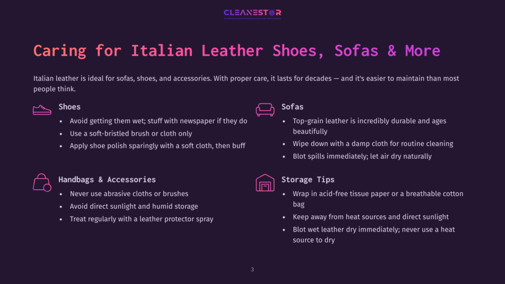 Cleanestor Logo And &Quot;Caring For Italian Leather Shoes, Sofas &Amp; More&Quot; Title Over A Dark Background With Icons For Shoes, Sofas, Handbags, And Storage Tips.
