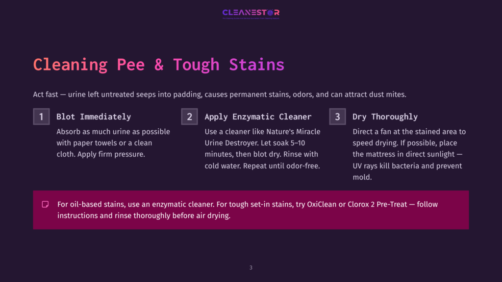 Infographic Detailing How To Clean Pee And Tough Stains On A Mattress, With Steps Including Blotting, Applying Enzymatic Cleaner, And Drying With A Fan.