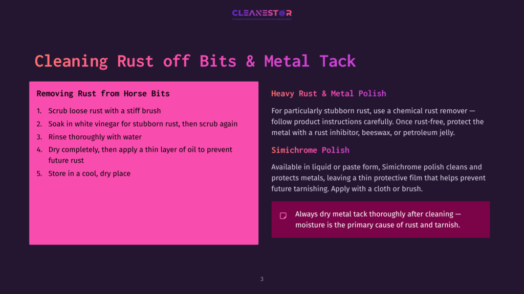 3 Cleaning Rust Off Bits And Metal Tack A Dark Purple Slide With The Title &Quot;Cleaning Rust Off Bits &Amp; Metal Tack&Quot; In Large White Text. The Slide Is Divided Into Two Columns: &Quot;Removing Rust From Horse Bits&Quot; With Numbered Steps And &Quot;Heavy Rust &Amp; Metal Polish&Quot; With Product Recommendations.