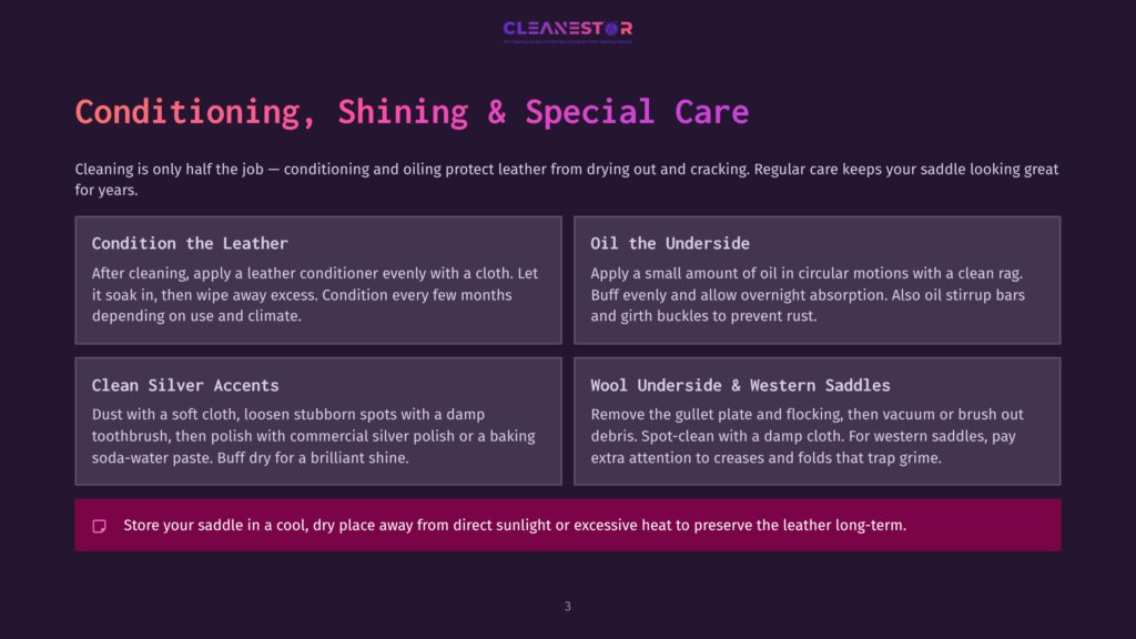 3 Conditioning Shining And Special Care Infographic Titled &Quot;Conditioning, Shining &Amp; Special Care&Quot; For Leather Saddles, Detailing Steps Like &Quot;Condition The Leather,&Quot; &Quot;Oil The Underside,&Quot; &Quot;Clean Silver Accents,&Quot; And &Quot;Wool Underside &Amp; Western Saddles.